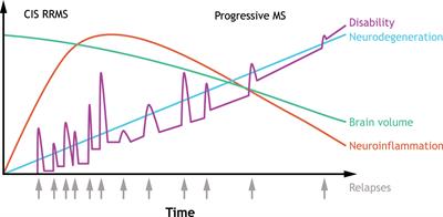 Bioavailable central nervous system disease-modifying therapies for multiple sclerosis